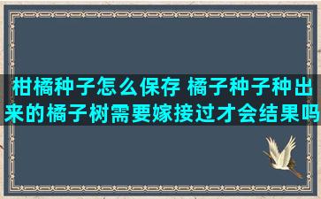 柑橘种子怎么保存 橘子种子种出来的橘子树需要嫁接过才会结果吗